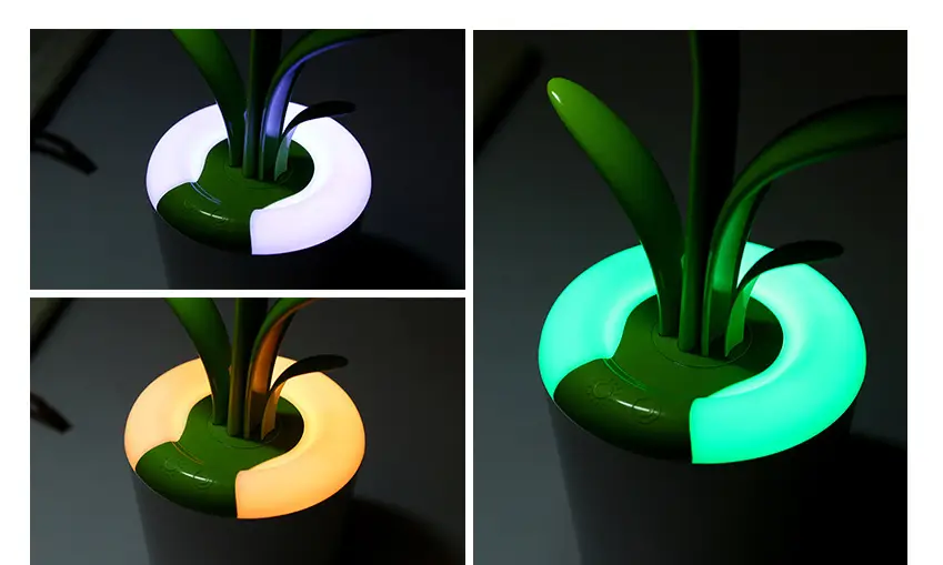 Modern Desk Table Lamp